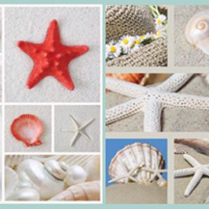 Canvas Print - Starfish & Shell Collage B (Set of 2)