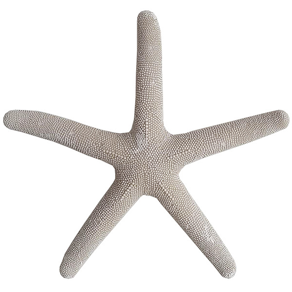 Large Starfish 38cm